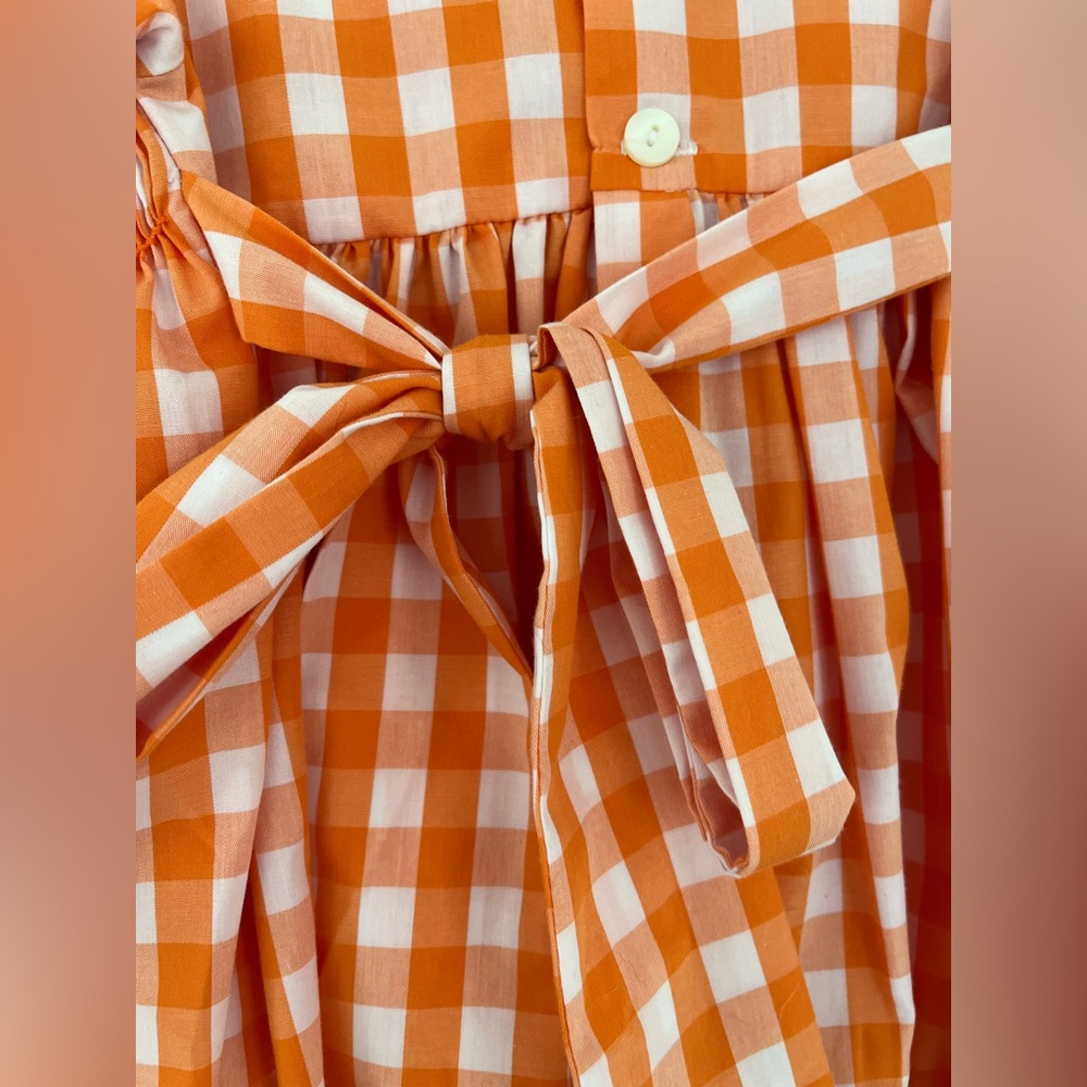 Tennessee VOLS Smocked Orange White Gingham Bow Dress Smokey Dog Sz 12 Months - Picture 4 of 13